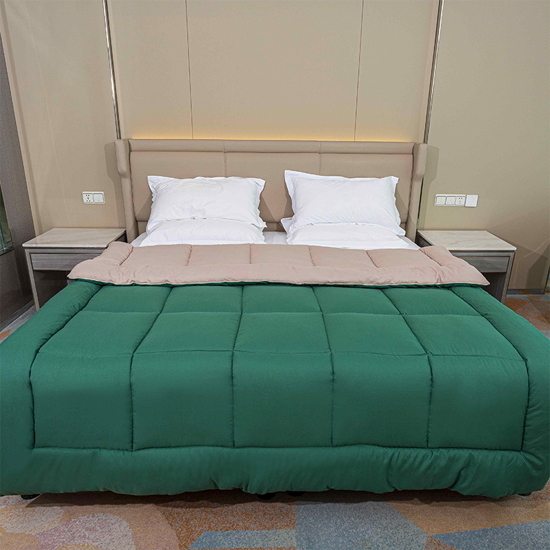 Comforter inchúlaithe glas poileistear poileistear lightweight méid Cuilte Cuilted Cuilted Bog Gach Séasúr Duvet DUVET